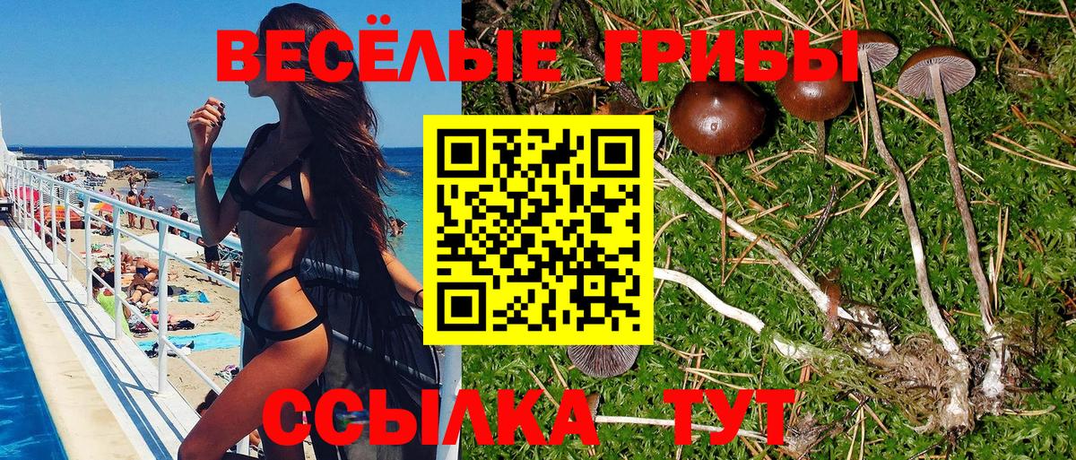 Псилоцибиновые грибы GOLDEN TEACHER  Галлюциногенные грибы прущие грибы  Сатка 